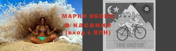 ПСИЛОЦИБИНОВЫЕ ГРИБЫ Балабаново