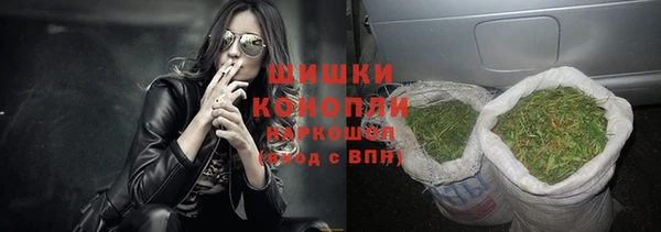 ПСИЛОЦИБИНОВЫЕ ГРИБЫ Балабаново